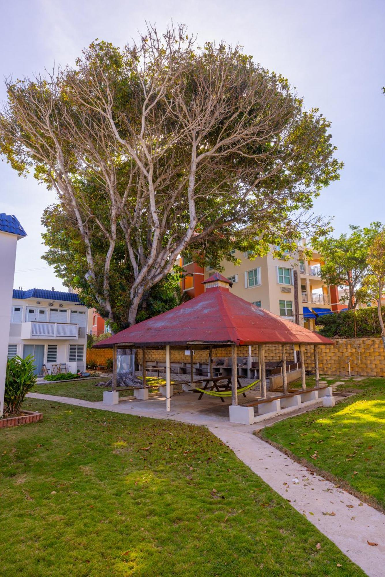 Jobos Beach Apartment A-3 イサベラ エクステリア 写真